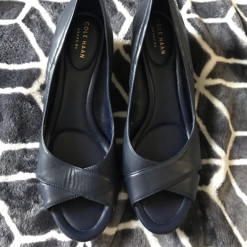 Cole Haan Dark Blue Peep Toe Shoes